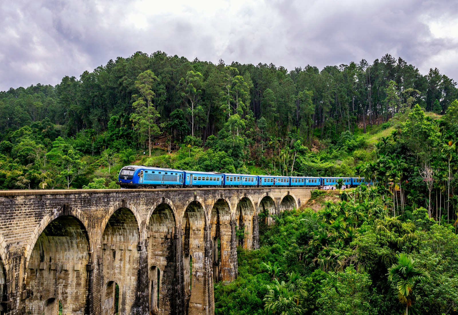 Train through the tea highlands