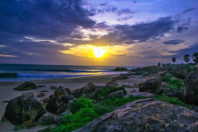 Tropical coastline